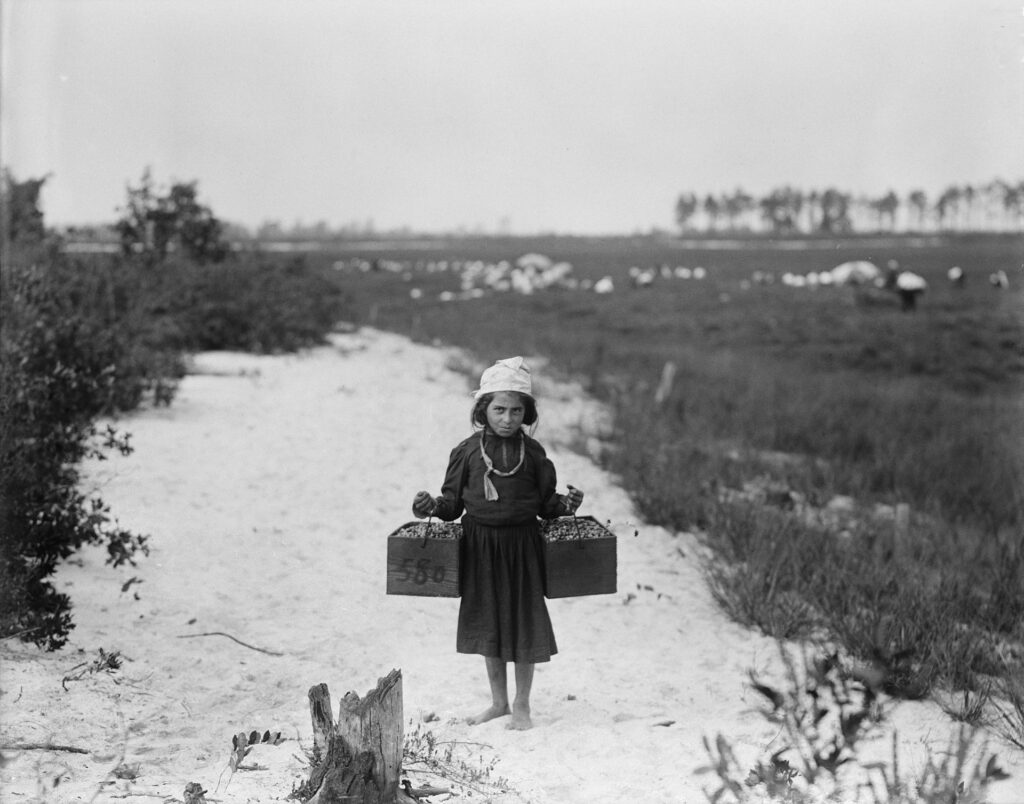 Eine Frau mit einem hellen Kopftuch trägt einen rechteckigen Kasten auf einem schmalen Weg durch eine offene Landschaft.