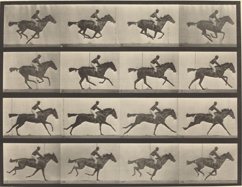 Fotomenschen cover art