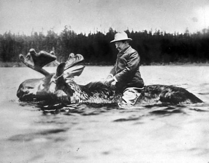 Ein Mann steht im Wasser neben mehreren Wasservögeln vor einer Waldkulisse.