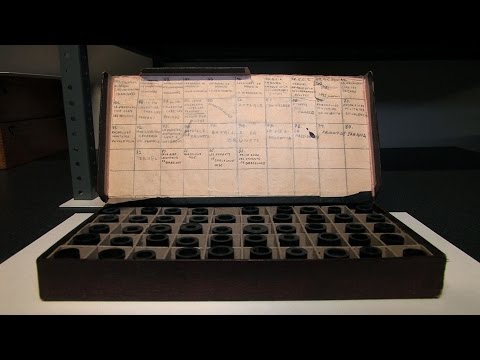 YouTube-Video-Thumbnail